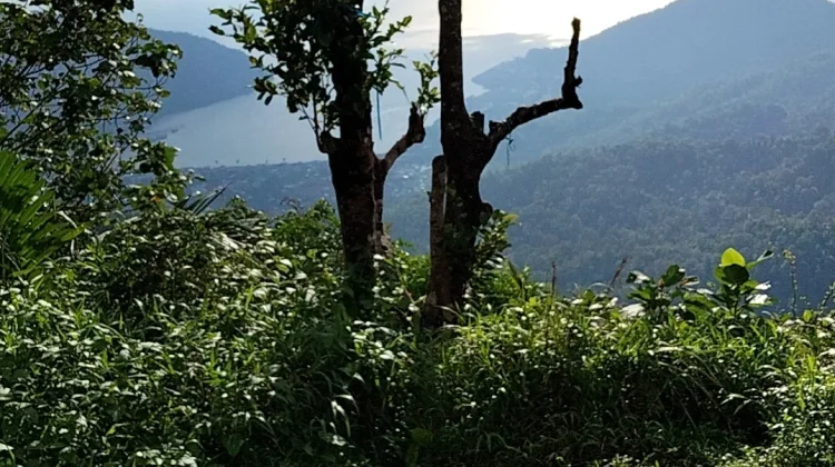 Cuaca Akhir Diakhir  Mei  Berawan hingga Hujan Ringan
