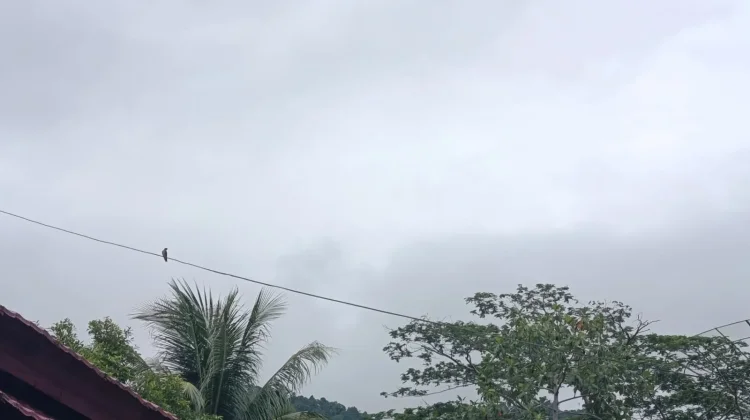 Cuaca Sangihe Hari Ini: Berawan hingga Berpotensi Hujan Disertai Petir