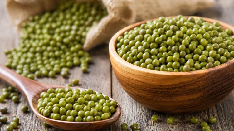 Kacang Hijau Bernutrisi Tinggi Baik Bagi Kesehatan