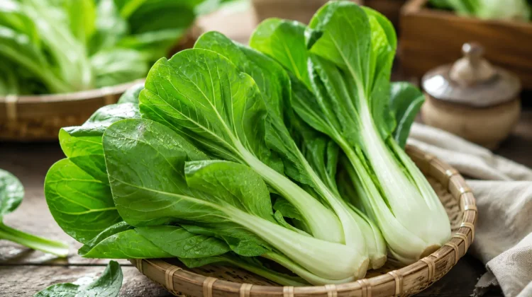 Sawi Hijau Kaya Nutrisi Menunjang Kesehatan Tubuh Dewasa