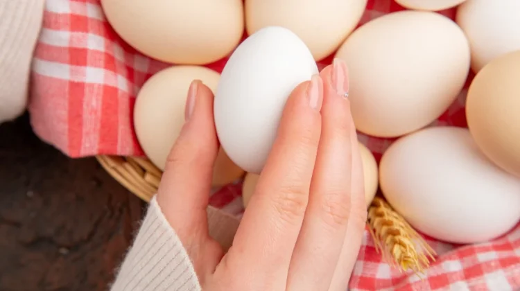 Efek Konsumsi Telur Berlebihan bagi Kesehatan