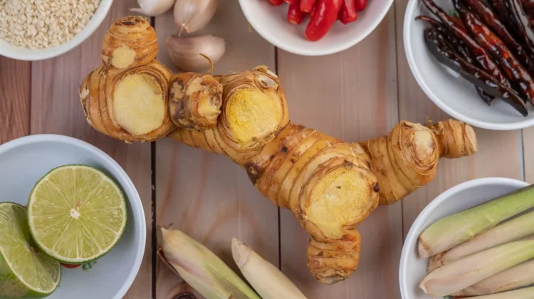 Rimpang Herbal Kaya Khasiat untuk Kesehatan