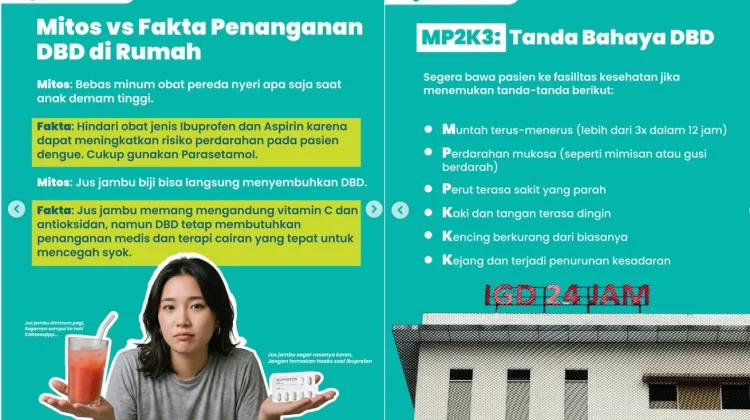 Kemenkes: Jangan Salah Tangani DBD di Rumah, Kenali Mitos dan Faktanya
