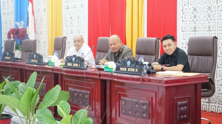 Masalah TPP, Hutang PEN dan Tindak-lanjut BPK jadi Pembahasan Banggar