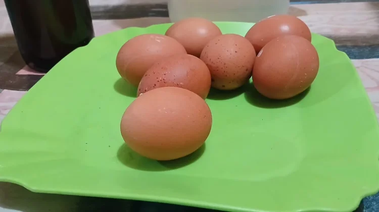 Telur Rebus, Makanan Sehat Kaya Nutrisi