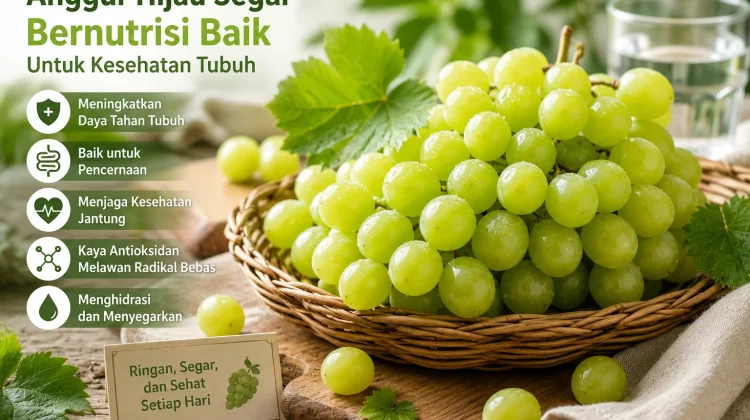 Anggur Hijau Segar Bernutrisi Baik untuk Kesehatan Tubuh