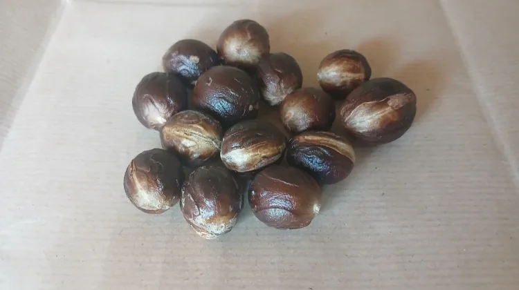Wajah Cerah dan  Bebas Jerawat Dengan Biji Pala