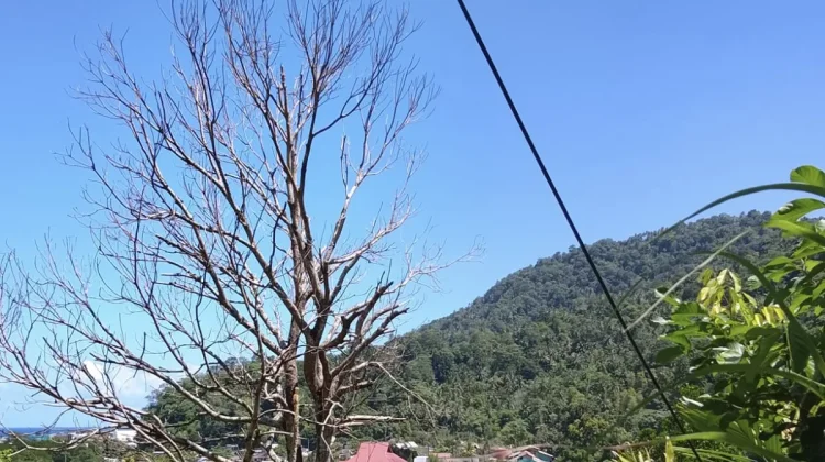 Cuaca Sangihe Diprakirakan Cerah Berawan