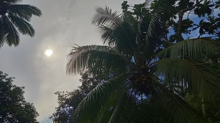 Cuaca Sangihe Diprakirakan Cerah Berawan hingga Berawan