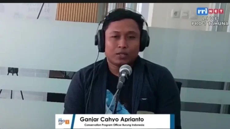 Hutan Terus Berkurang, Ekosistem Terancam