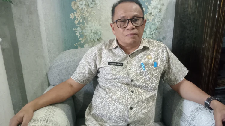 PPPK Paruh Waktu dibiayai Dandes dan Bos, Pemda Prioritaskan Penyesuaian Gaji