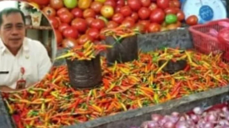Harga Rica (Cabe) di Sangihe tembus 180 Ribu Rupiah