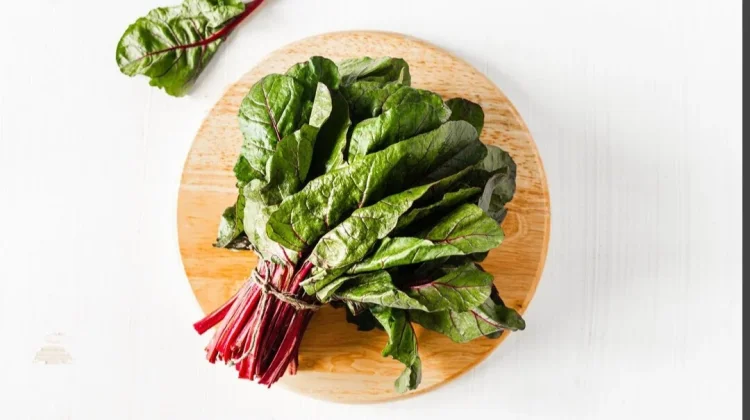 Atasi Anemia dengan Konsumsi Jenis Sayur Ini