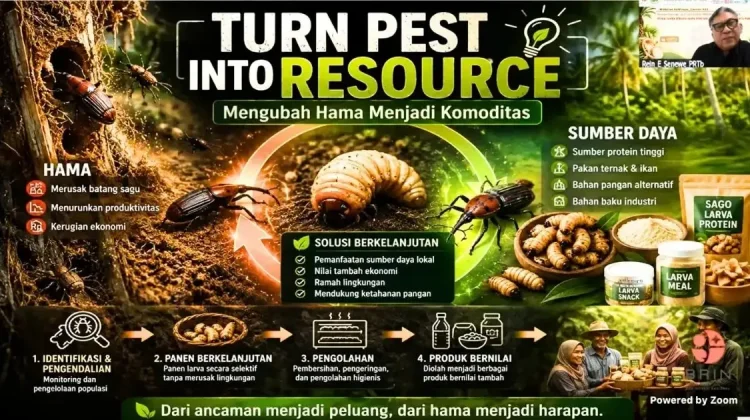 BRIN Kaji Ulat Sagu Jadi Sumber Protein