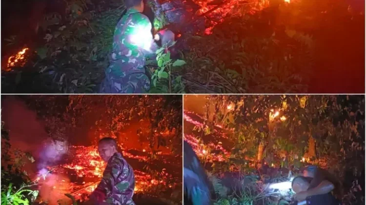 Kebakaran Hanguskan Kebun Cengkih dan Pala Warga di Tagulandang