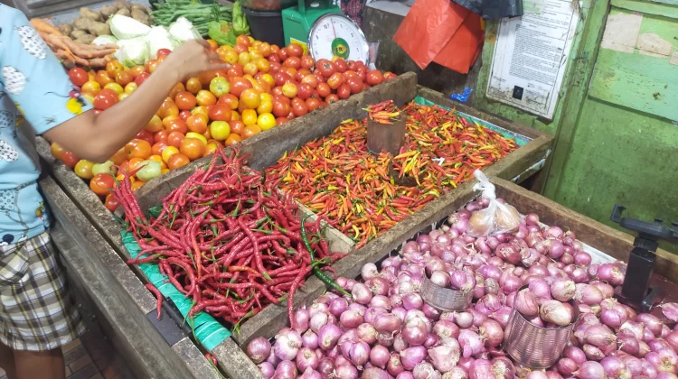 Harga Cabai Tembus Rp240 Ribu per Kilogram di Pasar Towo'e Tahuna
