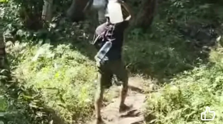 Relawan dan TNI Terus Berupaya Memadamkan Kebakaran Kawasan Hutan Gunung Api Awu