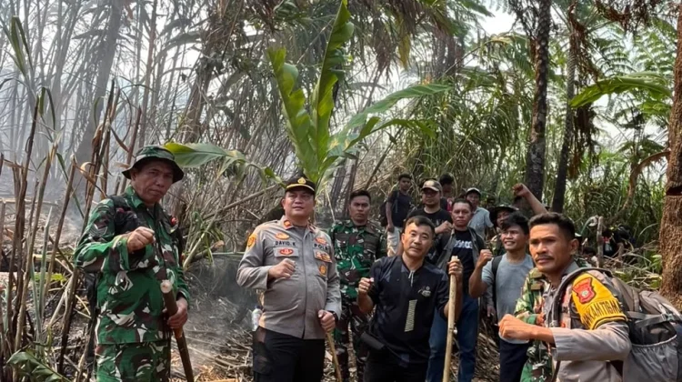 Pemda, Relawan dan TNI Polri Berupaya Padamkan Kebakaran Gunung Awu