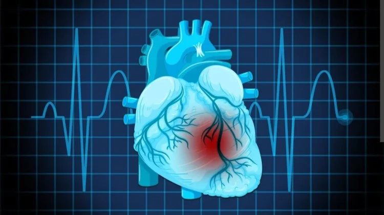 Ingin Jantung Sehat? Lakukan Tips Ini