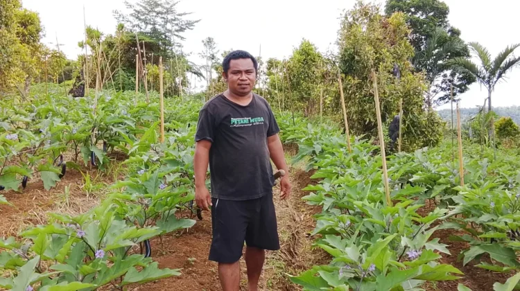 Potensi Pertanian di Kabupaten Kepulauan Sangihe