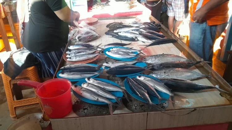 Daya Beli Menurun, Penjualan Ikan di Pasar Manganitu Lesu
