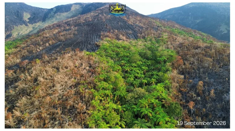 Kebakaran Gunung Awu Terkendali, Bupati: Tinggal Api Kecil di Lereng