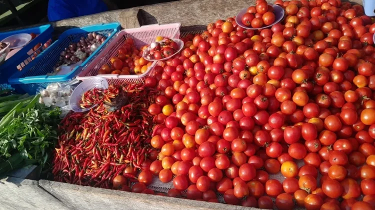 Harga Rica dan Tomat Naik, Belanja Warga Makin Berat