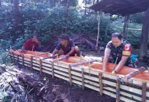 Sagu Indikator Kemiskinan, Anggota DPRD Sangihe Mengecam BPS