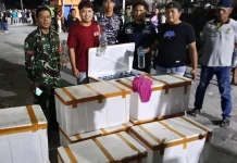 Coolbox Berisi Minyak Tanah diamankan Petugas di Pelabuhan Tahuna