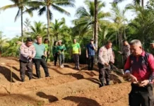 Pemda dan Polres Sangihe Lakukan Penanaman Jagung Kuartal-I 2026