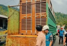 Mesin Pembangkit Baru, Kurangi Pemadaman Listrik di Sangihe