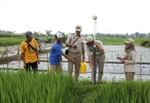 Kementrian ATR/BPN Tetapkan Lahan Sawah yang Dilindungi di 12 Provinsi