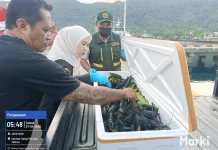 Satuan Pelayanan Pelabuhan Laut Tahuna Konsisten Laksanakan Tugas
