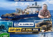 Gangguan Jaringan Palapa Ring, Tidak Pengaruhi TKA Tingkat SD
