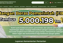 Cadangan Beras Pemerintah Tembus 5 Juta Ton, Kementan Klaim Rekor Tertinggi