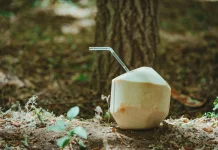 Manfaat Air Kelapa Muda di Pagi Hari