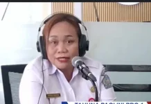 Dinas Lingkungan Hidup  Sangihe Genjot Penanganan Sampah dan Tata Lingkungan