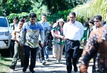 Kementrian Pertanian Setujui Penyaluran Bibit Jagung di Sulut