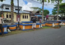 Dinas Lingkungan Hidup Sangihe Lakukan  Penanaman Cabe di Pusat Kota