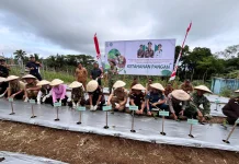 Penanaman Bibit Cabai di Lenganeng Jadi Bagian Kunker Kejati Sulut