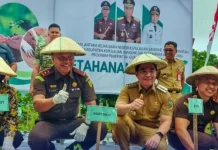 Kunker Kejati di Sangihe Ikut Tanam Seribu Cabe di Lenganeng