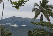 Gunung Awu Terus  Panaskan Magma, Masyarakat Sangihe di Imbau  Siaga