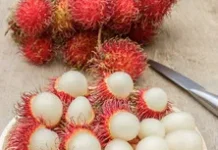 Manfaat Buah Rambutan untuk Kesehatan Tubuh