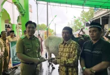 Bupati Sangihe Michael Thungari Serahkan Hewan Kurban Bantuan Presiden-RI dan Pem