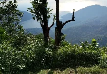 Cuaca Akhir Diakhir  Mei  Berawan hingga Hujan Ringan