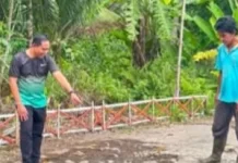 Anggota DPRD dari Partai Perindo, Salele Bantu Warga Cor Jalan Rusak