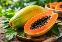 Pepaya Kaya Nutrisi Menjaga Kesehatan Tubuh Secara Alami