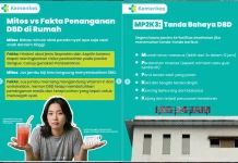 Kemenkes: Jangan Salah Tangani DBD di Rumah, Kenali Mitos dan Faktanya