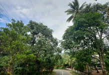Cuaca di Sangihe Hari Ini Berawan hingga Hujan Ringan