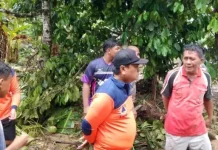 Pemerintah Daerah Sangihe Tinjau Lokasi Bencana di Sejumlah Wilayah Sangihe